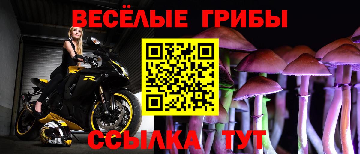 Псилоцибиновые грибы прущие грибы Бутурлиновка