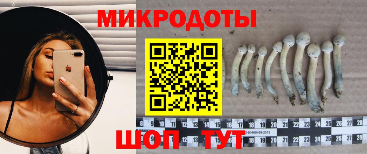 Бутурлиновка  Псилоцибиновые грибы Psilocybe  Вход с VPN 