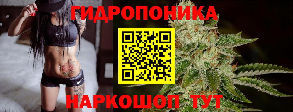 Конопля сатива Бутурлиновка